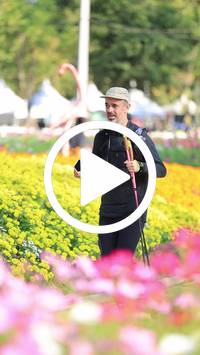 BIB:  <button type="button" onclick="openModal(27583819)" class="btn btn-primary btn-sm float-right" data-toggle="modal" data-target=".modal-high-quality">
                <i class="fa fa-download"></i> Download
                </button>